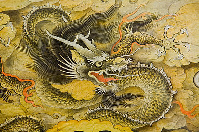 王牌竞速女性胸罩里面的东西：运动胸罩新突破，女性运动体验升级