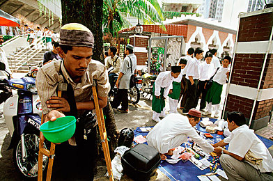 福瑞18+:保健品新宠:揭秘“福瑞18+”受欢迎之谜-1