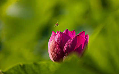 欧美黑人色情ⅩXXⅩ性药瓶游戏:游戏乱象:惊曝色情药瓶游戏,社会谴责!-1