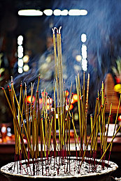 三菜一汤八爪鱼五个开关是啥意思:智能厨房新宠:五键烹饪,美味随心-3