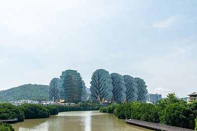 西施被焯出水了怎么办,餐厅煮虾失手，顾客哭笑不得-3