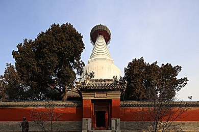 秘密研究所永久地址：神秘机构揭秘：科技巨头崛起-2