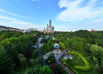 黄色软件大全免费下载2023,揭秘免费软件平台，安全下载攻略！-1