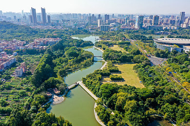 男生把困困放到女生困困里面：商场宠物遗忘引关注，善良女孩温暖守护-3