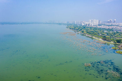 杨贵妃艳史,手游穿越千年，再现杨贵妃传奇-2