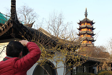 天堂A√:都市宁静新地标,宜居社区引关注-2