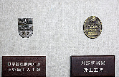 阧阴：城市环保新篇章，阆阴项目显成效-3