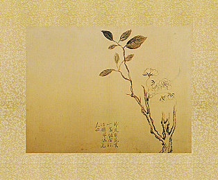 我和男按摩师做爰口述：按摩师性侵事件：行业监管引关注-4