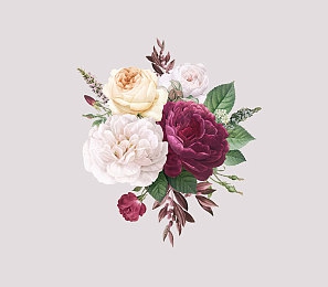 芒果精品乱码一区二区:网络乱象:揭秘“芒果精品”违规内容风波-4