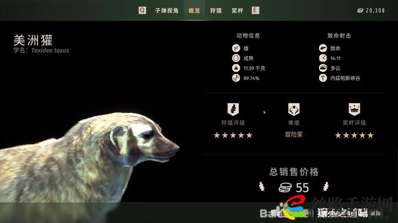 狩猎之道五星美洲獾怎么捕猎