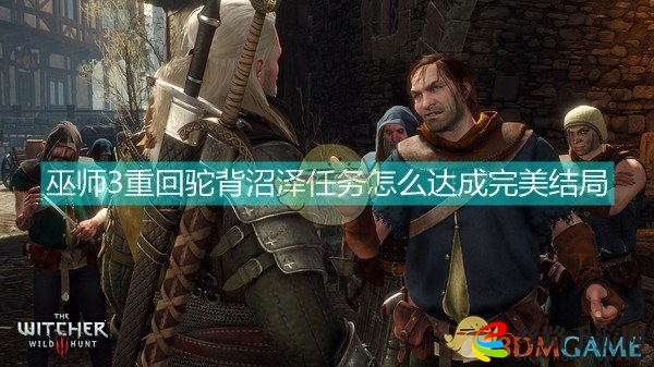 巫师3重回驼背沼泽完美结局