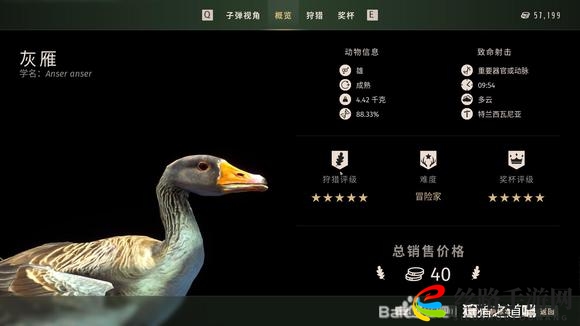 狩猎之道五星灰雁怎么捕猎