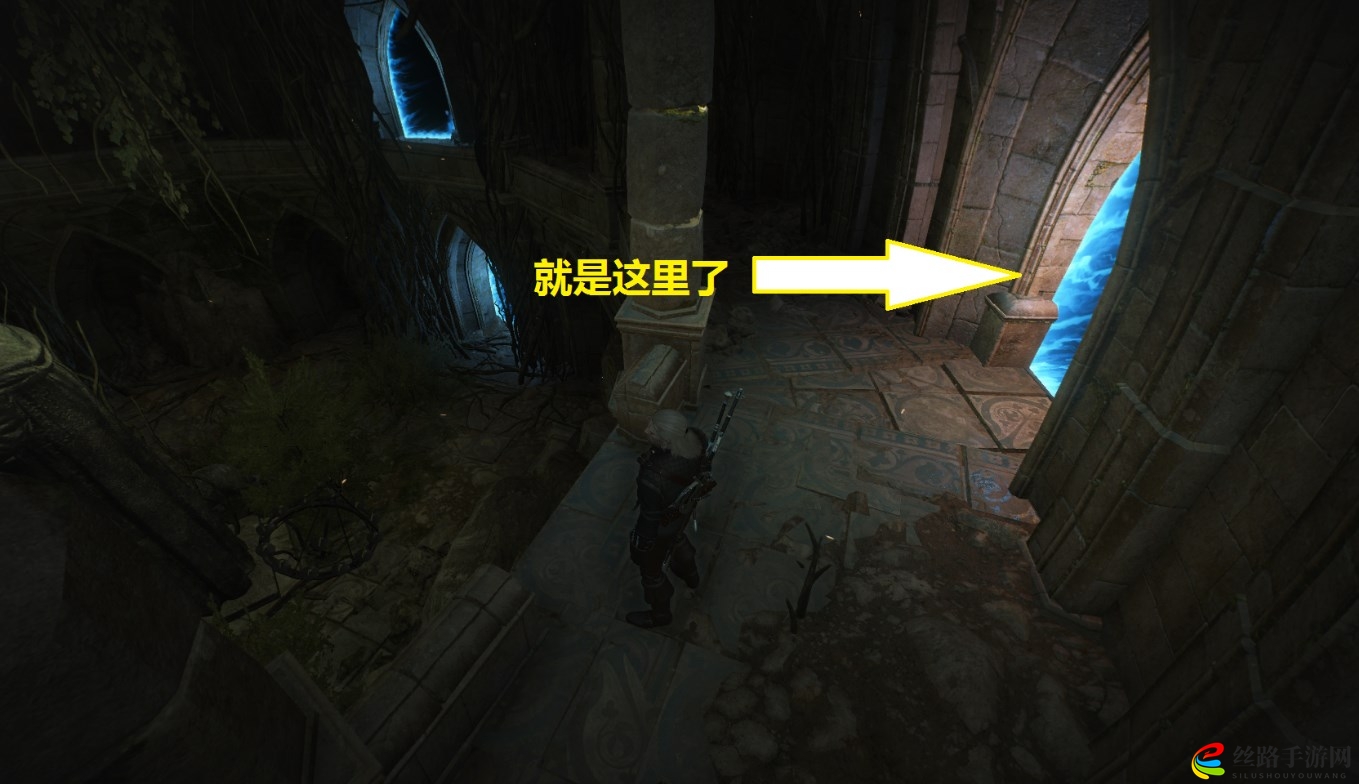 巫师3面对改变传送门
