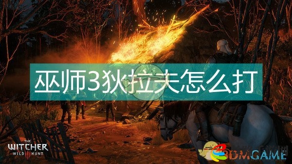 巫师3狄拉夫怎么打